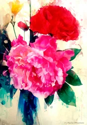 Pfingstrose und Mohn, 2014